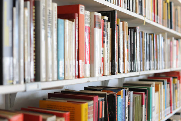 Eine Reihe von Büchern zu den Themen Rechtsextremismus und Nationalsozialismus stehen in Regalen.